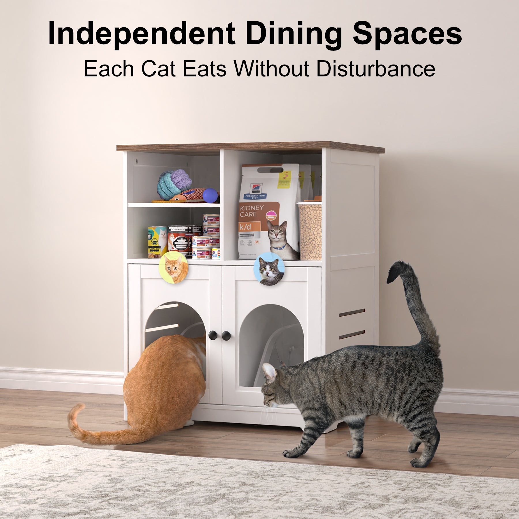 Cat Feeding Station, Cat Cabinet for Microchip Feeder with Dog